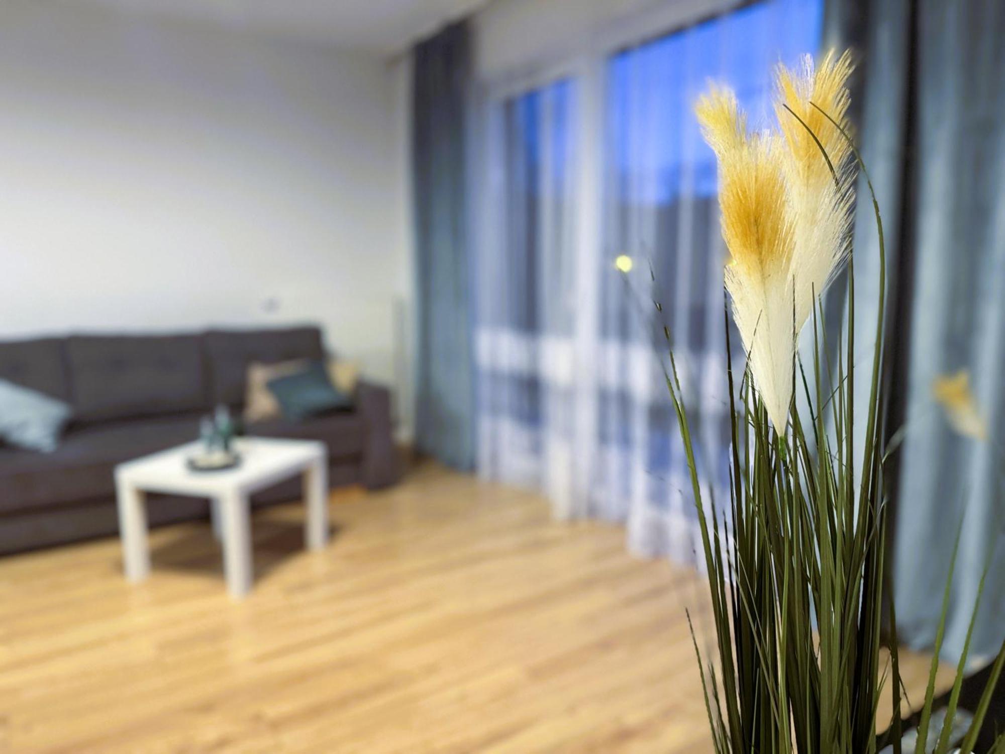 Apartment Apartstars - Zelwerowicza 11